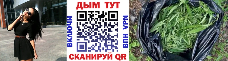 blacksprut как войти  Енисейск  Бошки марихуана гибрид 